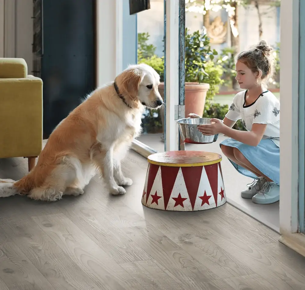 dog can eat inside with pergo elements flooring